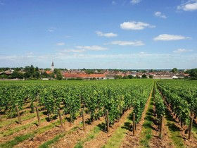 ibis budget Nuits-Saint-Georges