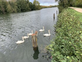 Camping De l'île d'Amour