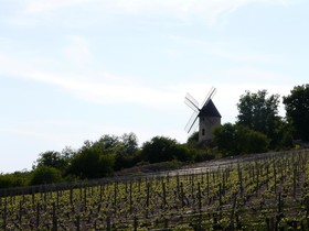 La Chouette