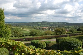 La Montagne De Brancion