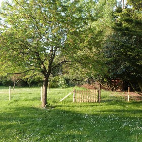 Le Relais D'Eugénie Maison D'hôtes En Forêt D'Orléans