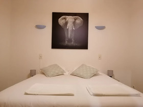 Domaine Des Éléphants