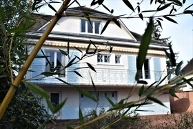 Villa Palmera