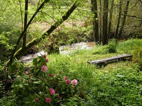 Le Moulin Du Chet