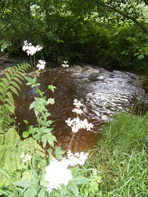 Le Moulin Du Chet