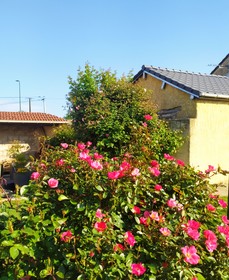 Chez Céline en campagne
