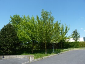 B&B Hotels Châlons En Champagne