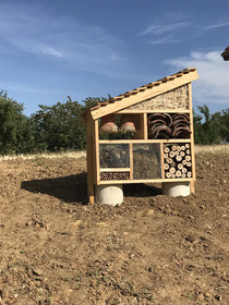 DLe Bois de Champagne Industriel
