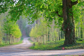 Le Domaine De Prin