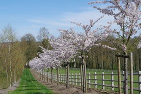 Le Domaine De Prin