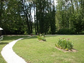 Les Iris