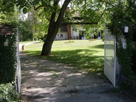 Les Iris