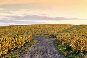 Best Western Le Relais du Vigneron