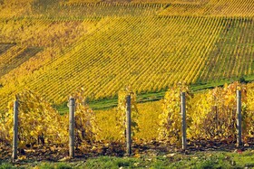 Best Western Le Relais du Vigneron