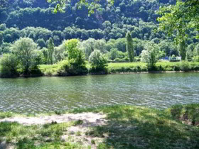 Amarante