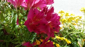 de la Plage Santa Vittoria