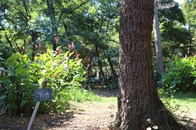 Camping Dolce Vita