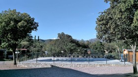 E Canicce
