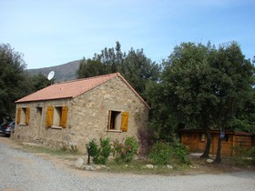 E Canicce