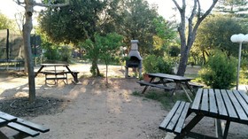 E Canicce