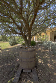 Villa Corse