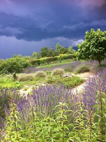 Grand Hotel Cala Rossa
