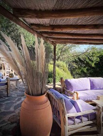 Les Oliviers de Palombaggia