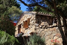 Les Oliviers de Palombaggia