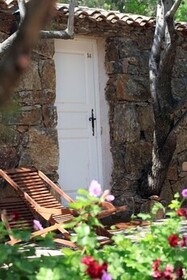 Les Oliviers de Palombaggia