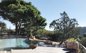 Les Oliviers de Palombaggia