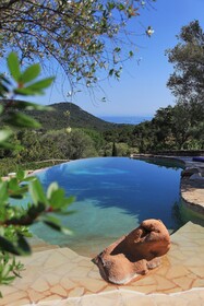 Les Oliviers de Palombaggia