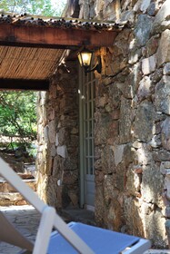 Les Oliviers de Palombaggia