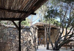 Les Oliviers de Palombaggia