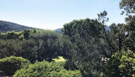 Les Oliviers de Palombaggia