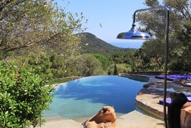 Les Oliviers de Palombaggia