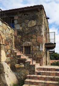 Les Oliviers de Palombaggia