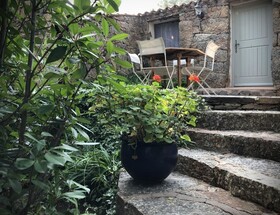 Les Oliviers de Palombaggia