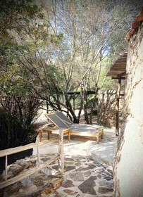 Les Oliviers de Palombaggia