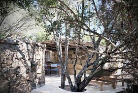 Les Oliviers de Palombaggia