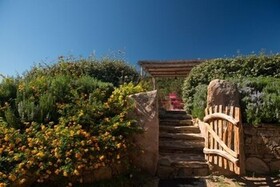 Les Oliviers de Palombaggia