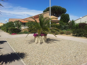 Les Maison Sous Le Soleil