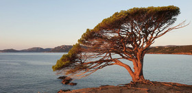 Residence Liccia Di Furu