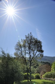 Domaine Codaleone