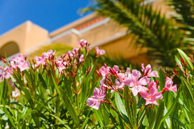Résidence Lagrange Classic Villa Barbara