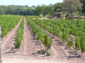 La Bastide du Clos des Roses