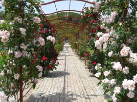 La Bastide du Clos des Roses