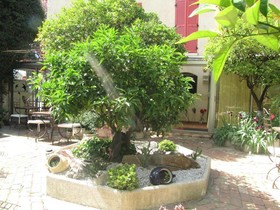 Hôtel Les Orangers
