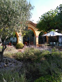 Le Provençal