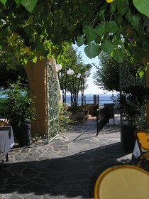 Le Provençal