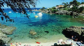 Le Provençal